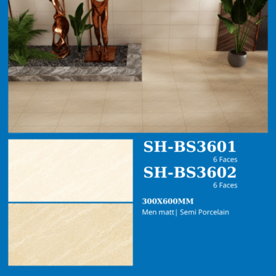 Gạch Viglacera SH-BS3601