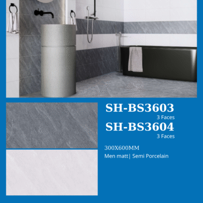 Gạch Viglacera SH-BS3603