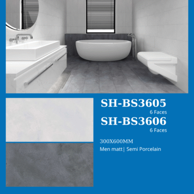 Gạch Viglacera SH-BS3605